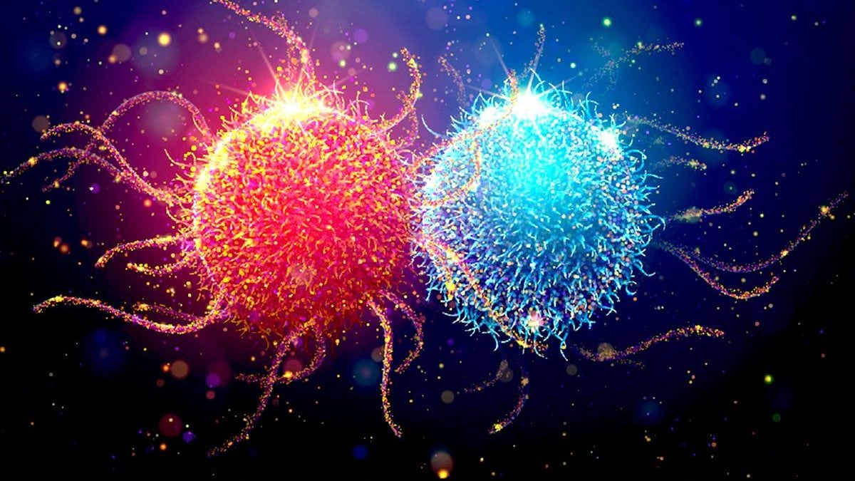 Illustrazione di una cellula cancerosa vicino a una cellula sana / Photo: iStock