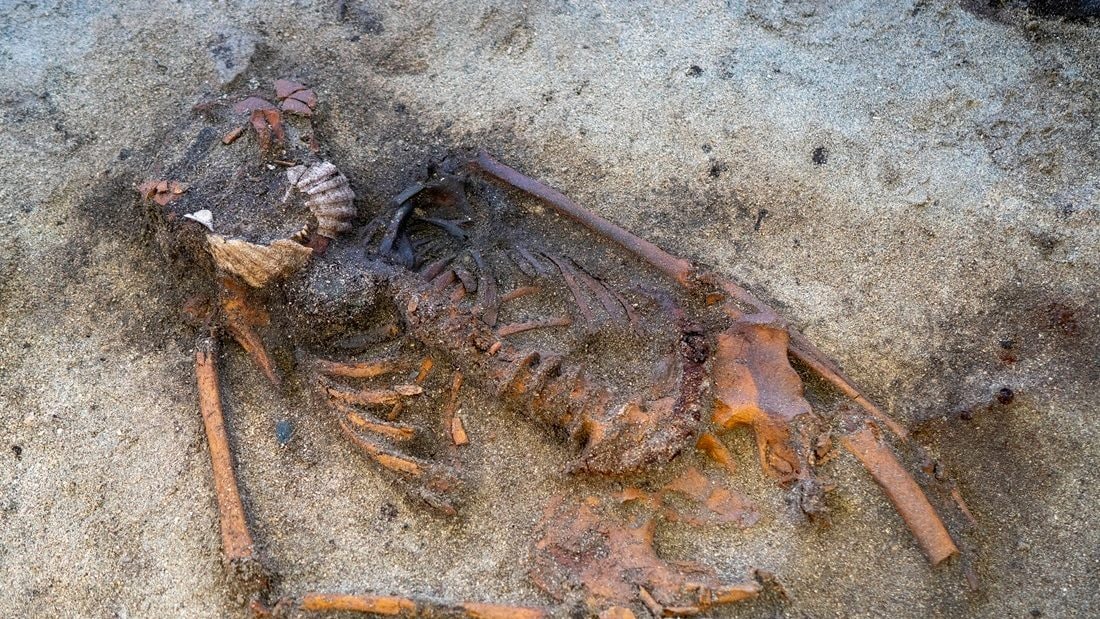 Mistero in Norvegia, donna vichinga sepolta con conchiglie sulla bocca: “Non sappiamo perché”