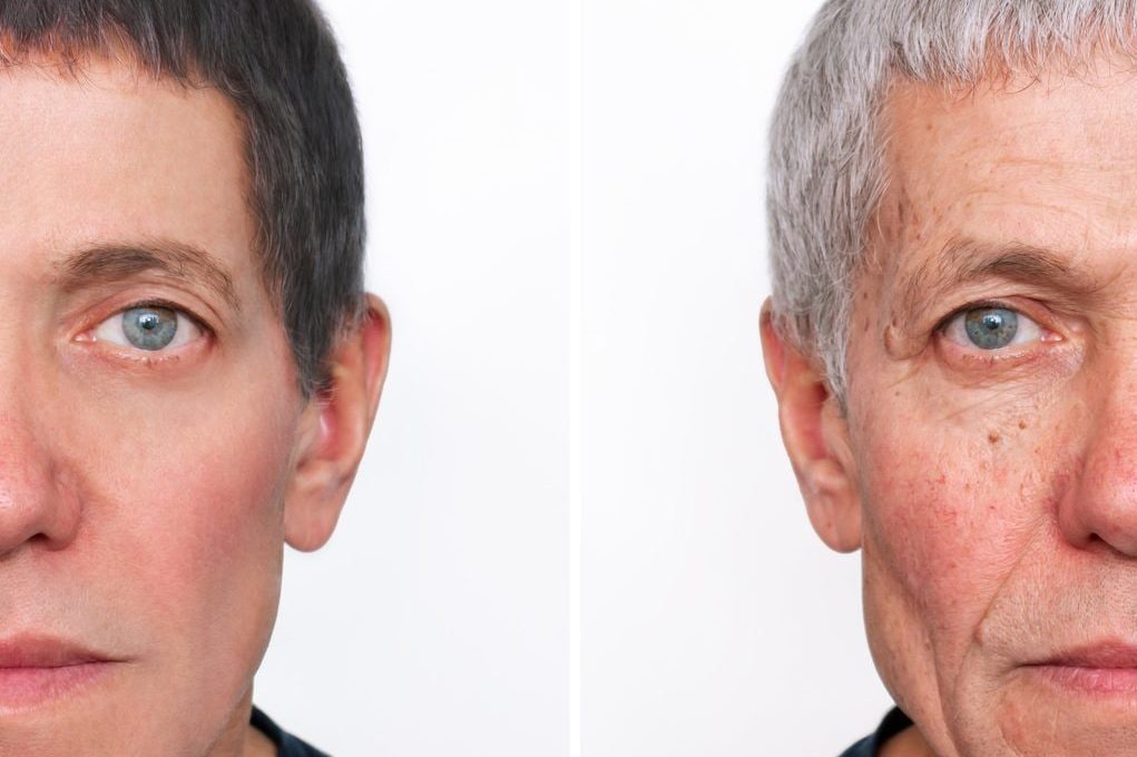 La betaina rallenta l’invecchiamento: come il composto naturale replica i benefici dell’attività fisica