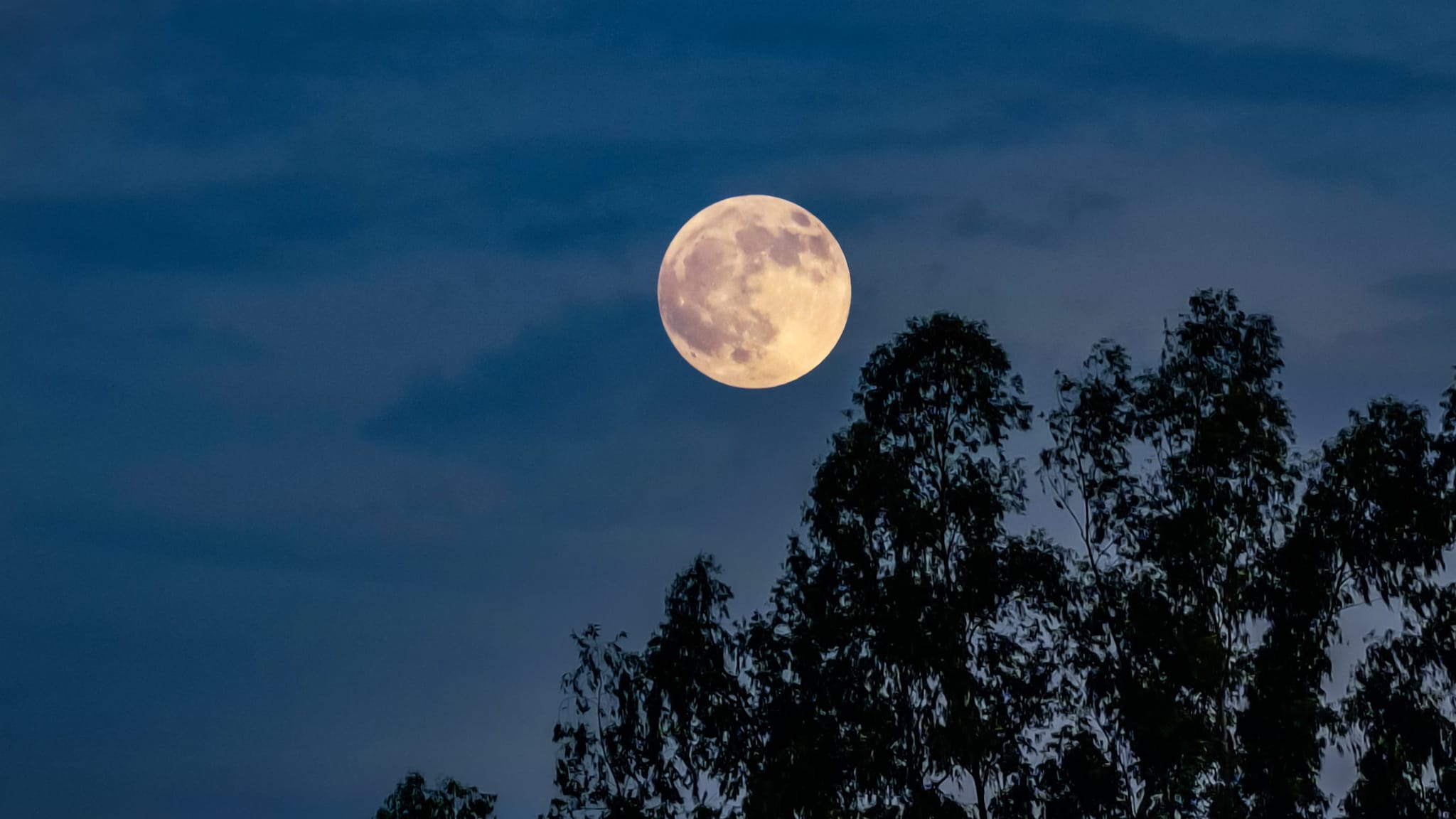 Arriva la Superluna Piena del Castoro mercoledì 5 novembre 2025, a che ora vederla e perché si chiama così