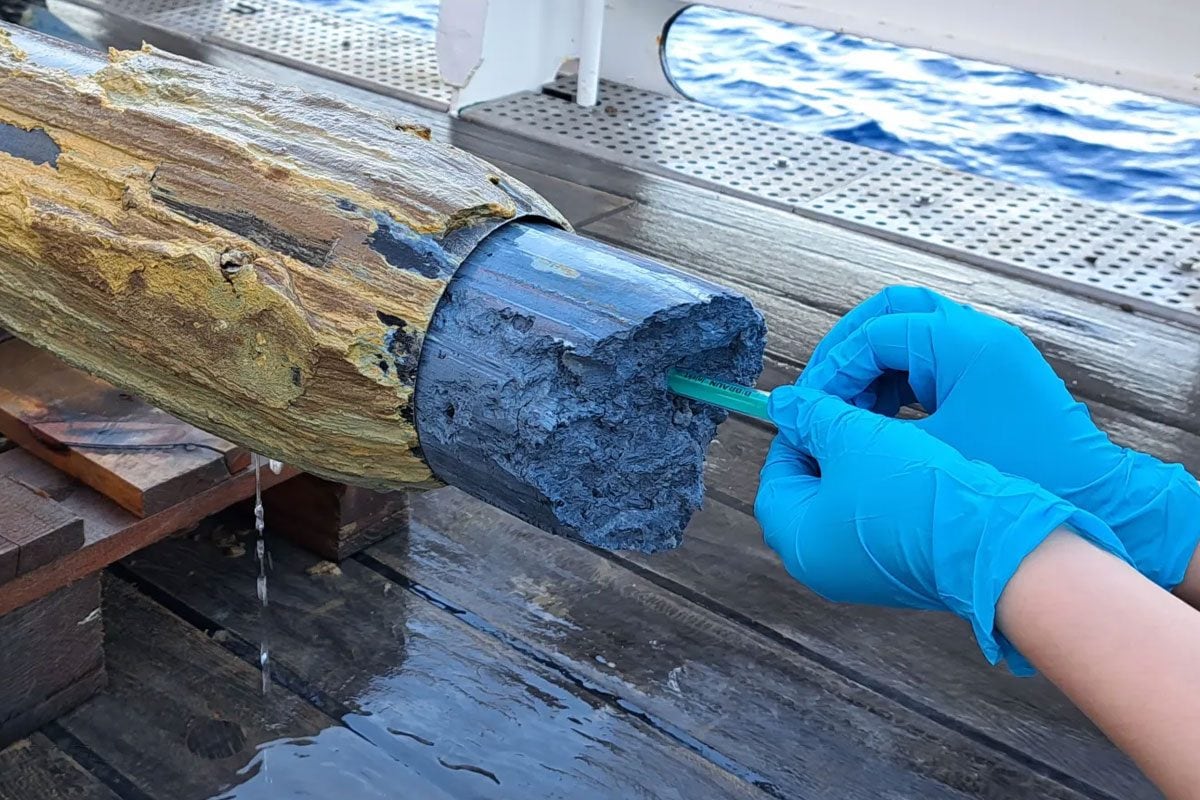 La melma blu più ostile della Terra sorprende gli scienziati: segni di vita vicino alla Fossa delle Marianne