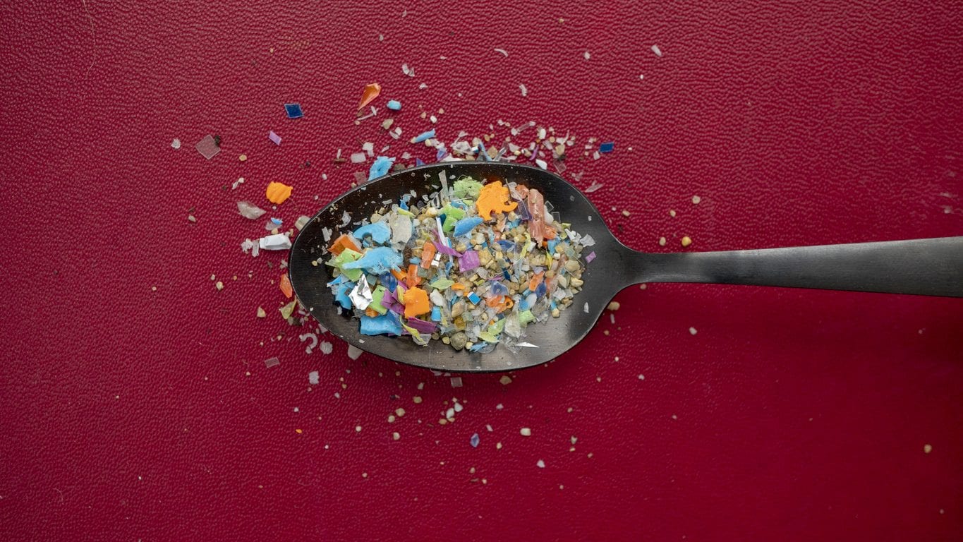 Le microplastiche possono accelerare le malattie cardiovascolari: un nuovo studio chiarisce il meccanismo