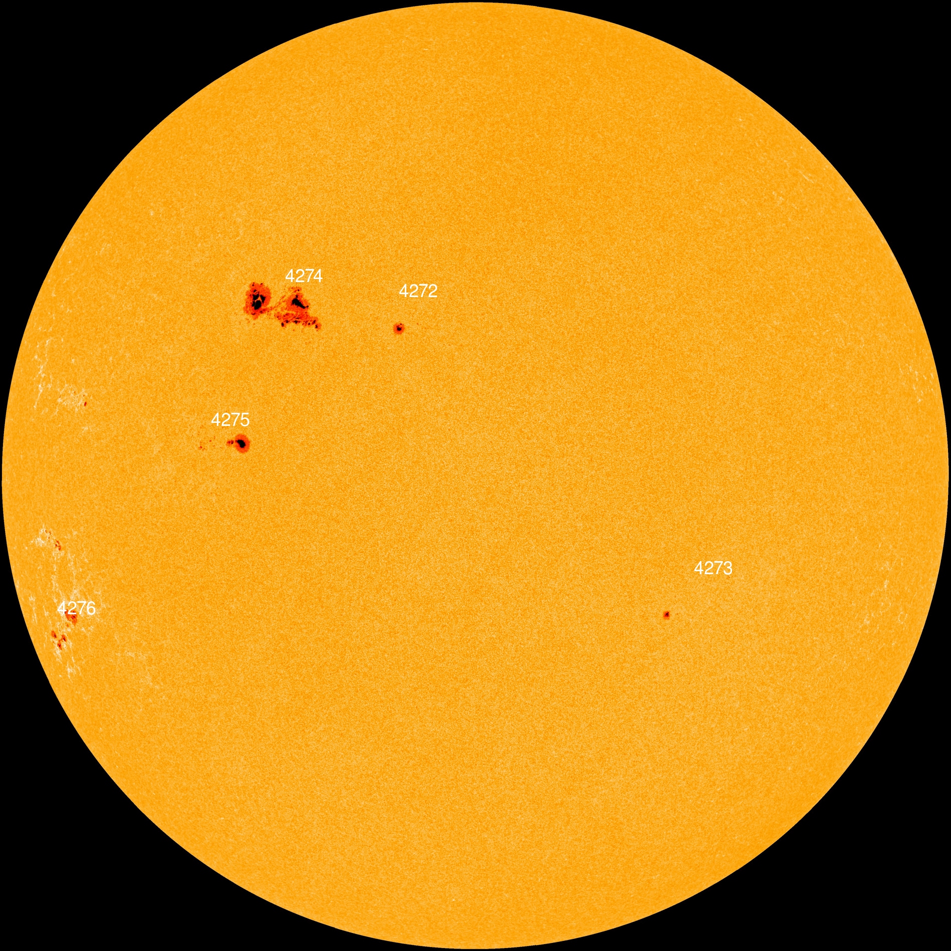 La posizione della macchia solare AR 4274 sul Sole, oggi 7 novembre. Credit: NASA/SDO/spaceweather.com