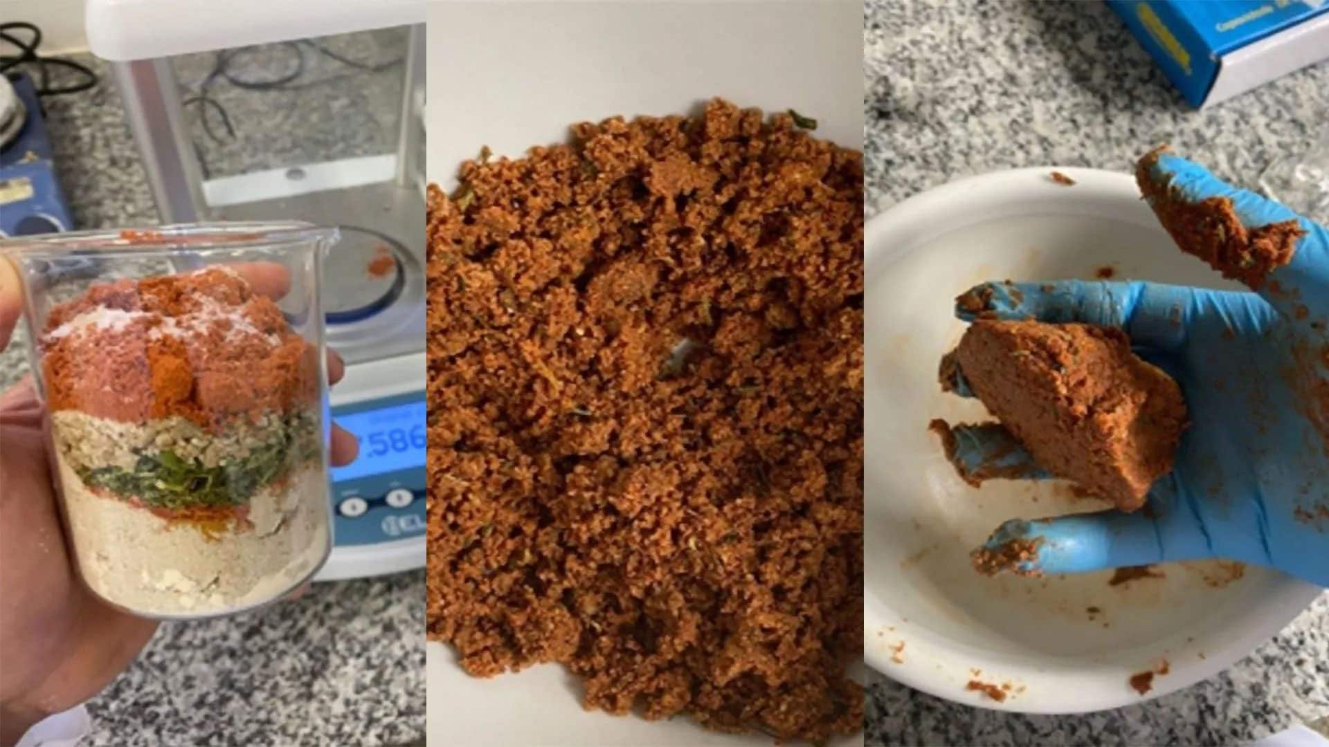 Sostituto della carne dalla farina di girasole: la nuova alternativa vegetale ricca di proteine e non OGM