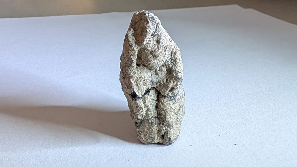 La statuetta preistorica. Credit: Hadas Goldgeier