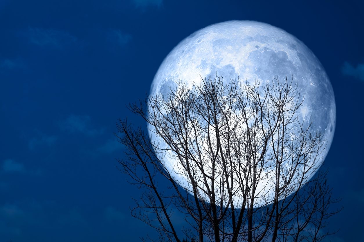 Superluna Fredda di dicembre: ecco quando osservare l’ultima Luna piena del 2025