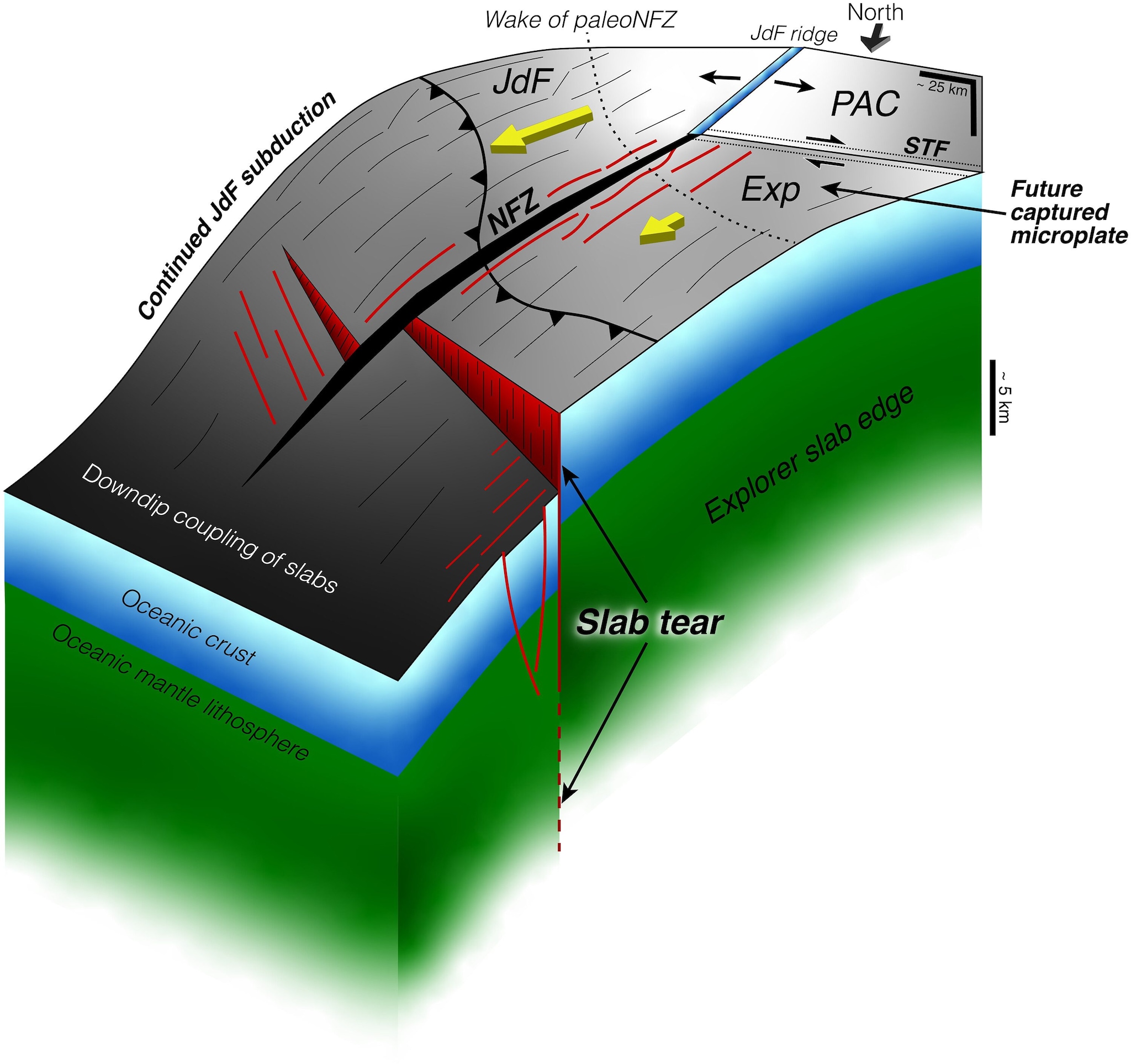La zona di subduzione di Cascadia. Credit: ScienceAdvance