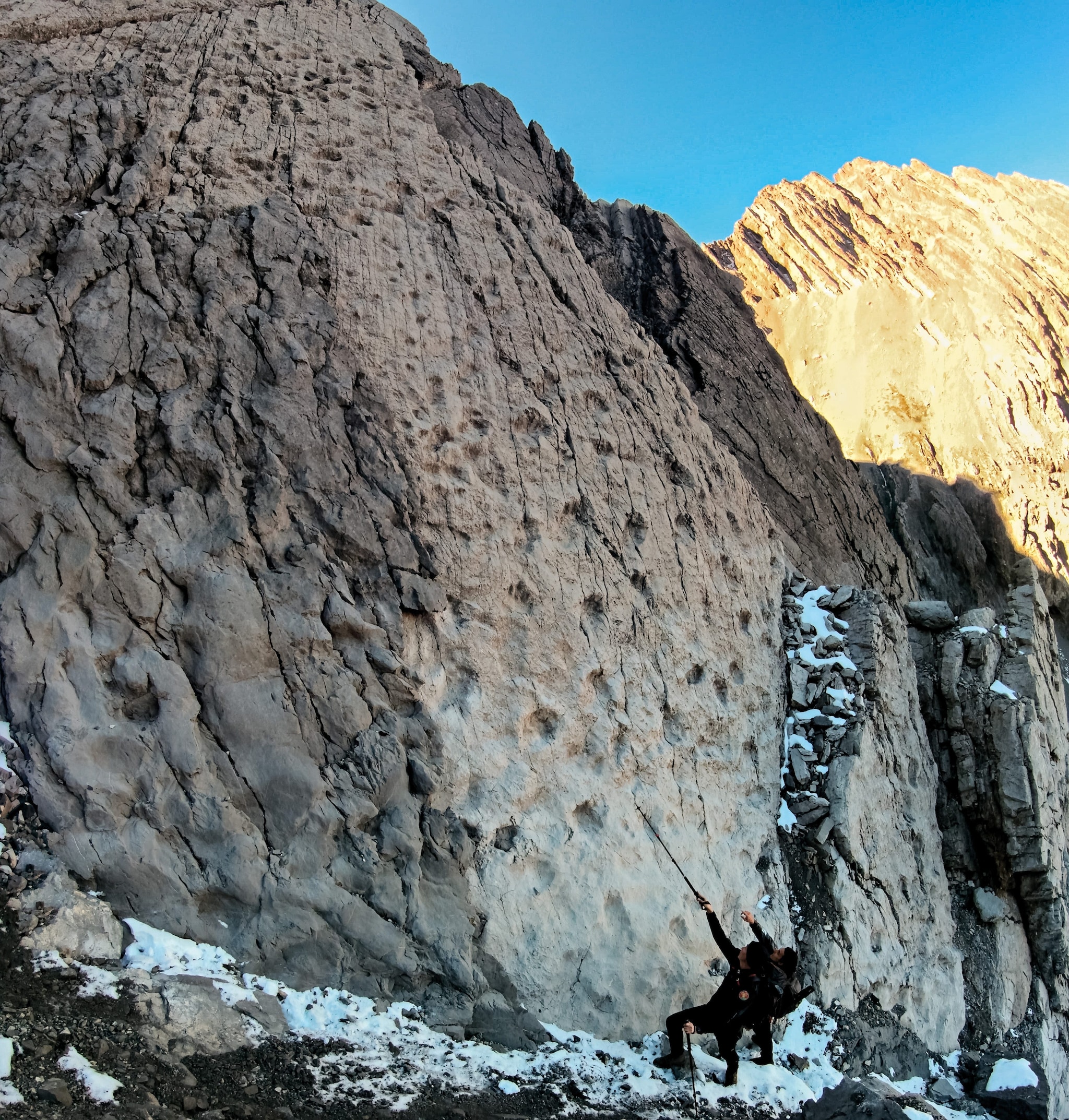 Alcune delle impronte meglio conservate. Credit: Elio Della Ferrera, Arch. PaleoStelvio (PNS, MSNM, SABAP CO–LC).