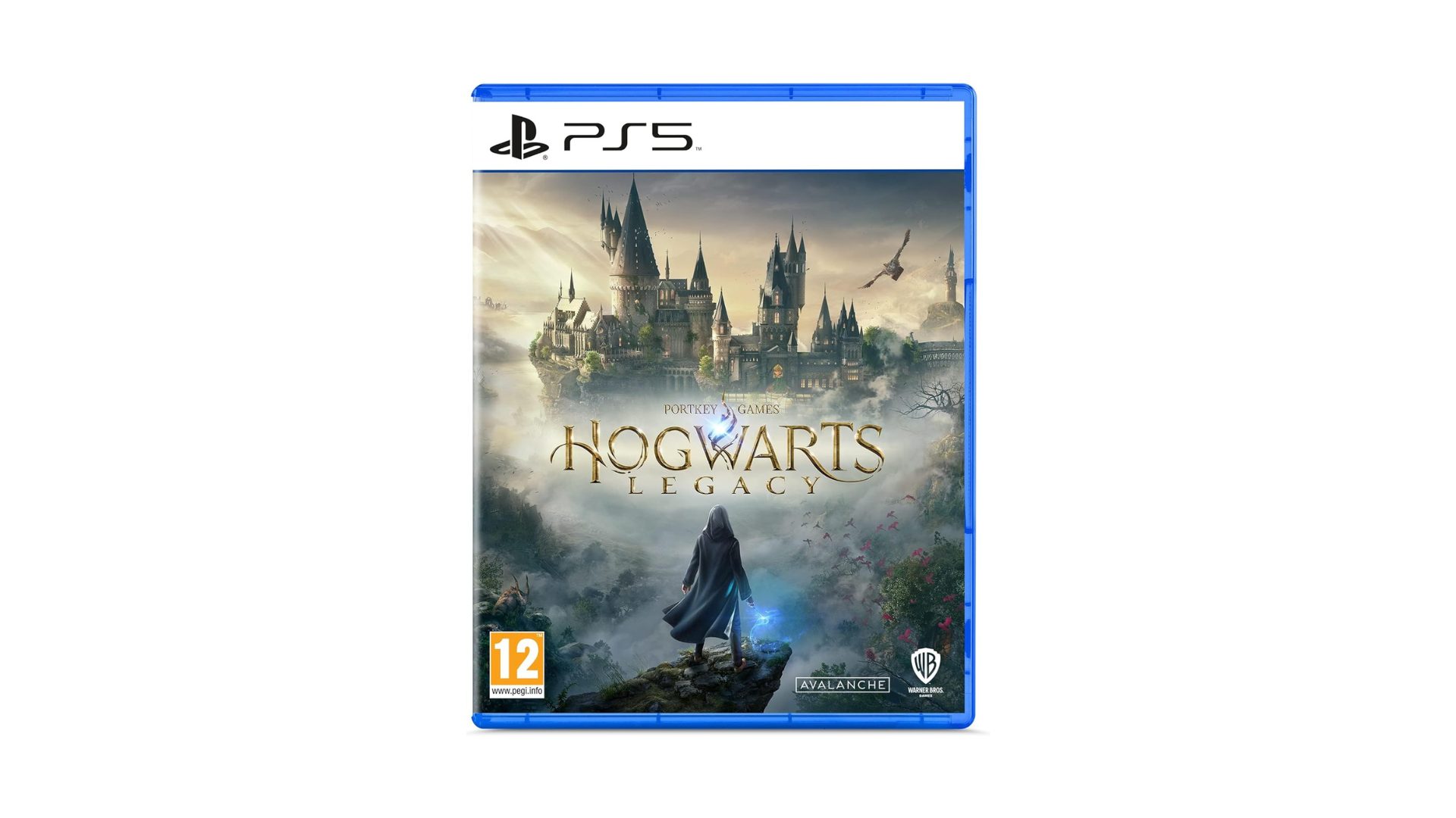 Hogwarts Legacy gioco per ps5 