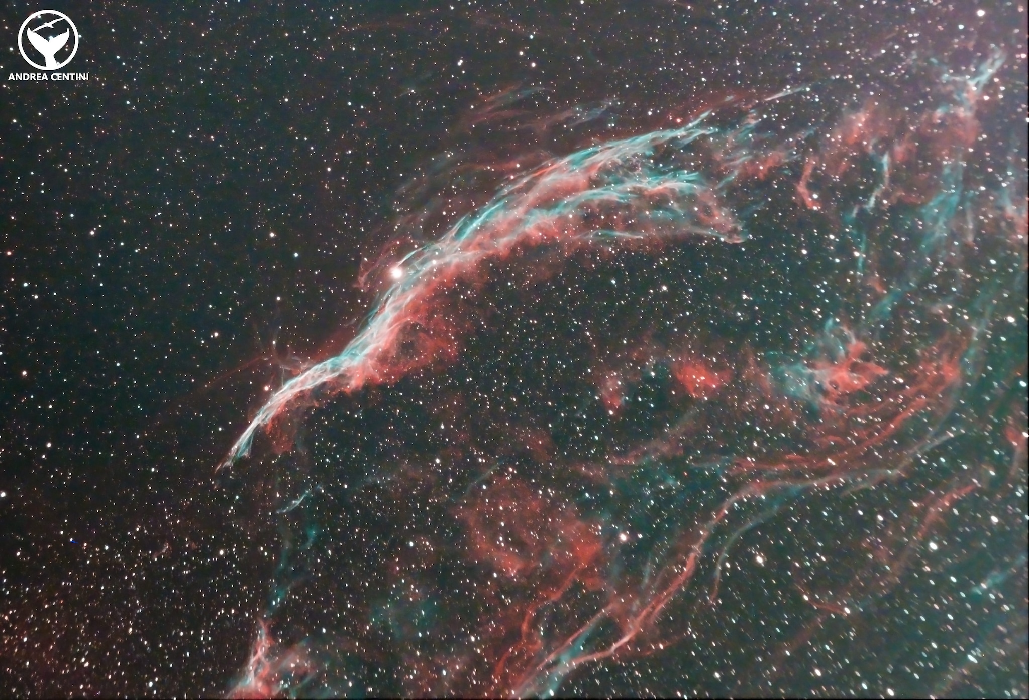 Nebulosa Velo (componente occidentale NGC 6960), fotografata dai Castelli Romani. Credit: Andrea Centini