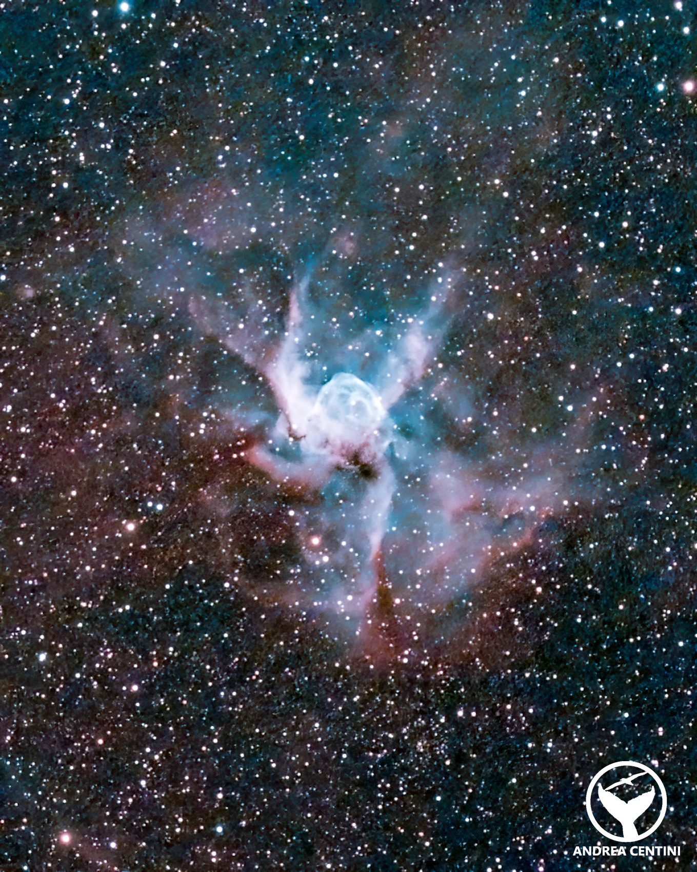 La Nebulosa Elmo di Thor (NGC 2359). Credit: Andrea Centini