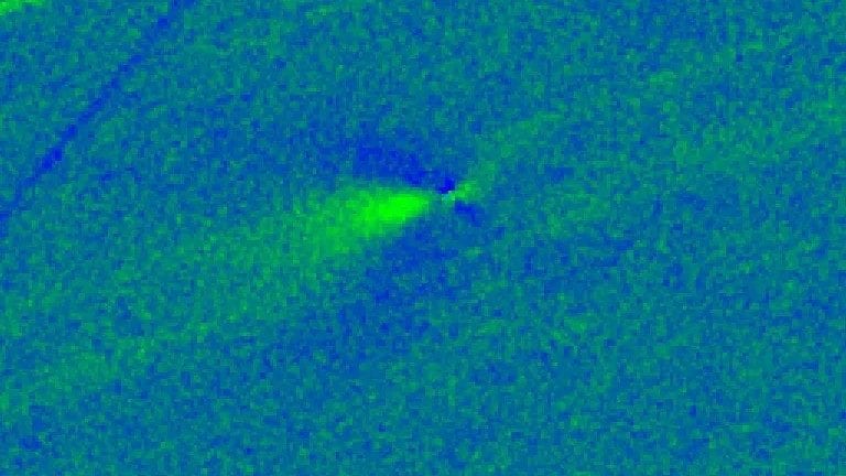3I/ATLAS in avvicinamento alla Terra mantiene l’anti-coda, Avi Loeb: “Non illusione ottica ma getto fisico”