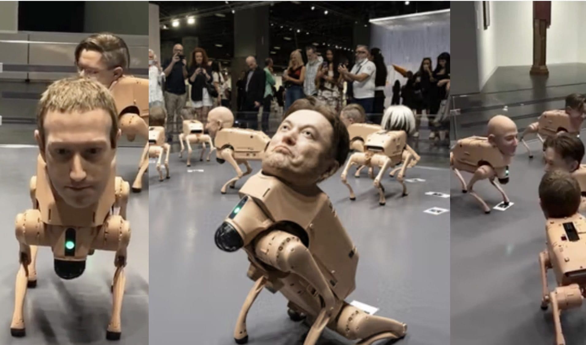 Zuckerberg e Musk trasformati in cani robot con teste giganti: il video girato sul ring