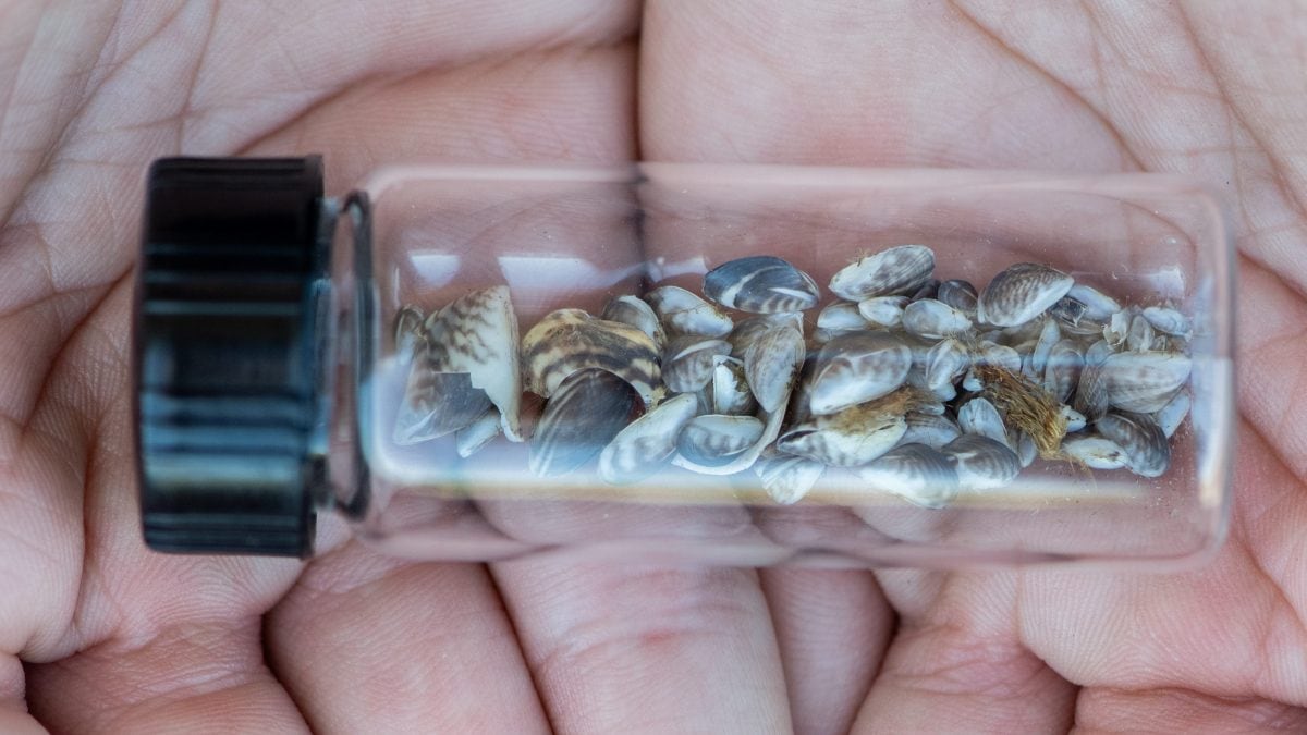 Immagine di repertorio