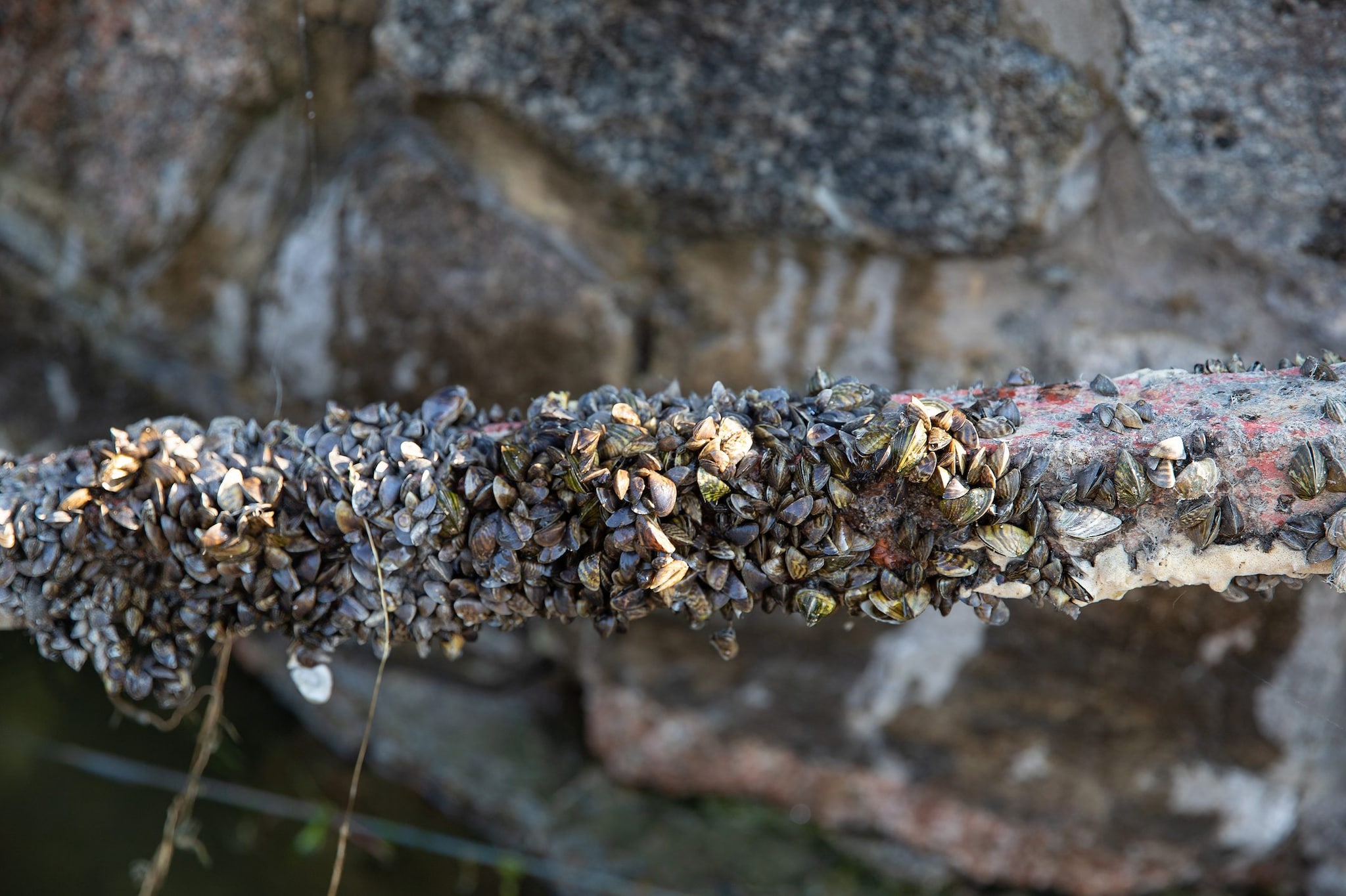 Immagine di repertorio