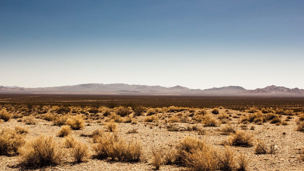 La Death Valley, in California, detiene il record di temperatura dell’aria più alta del mondo, 56,7 °C, registrata il 10 luglio 1013. Un nuovo studio mostra che il valore potrebbe essere essere sbagliato / Photo: iStock