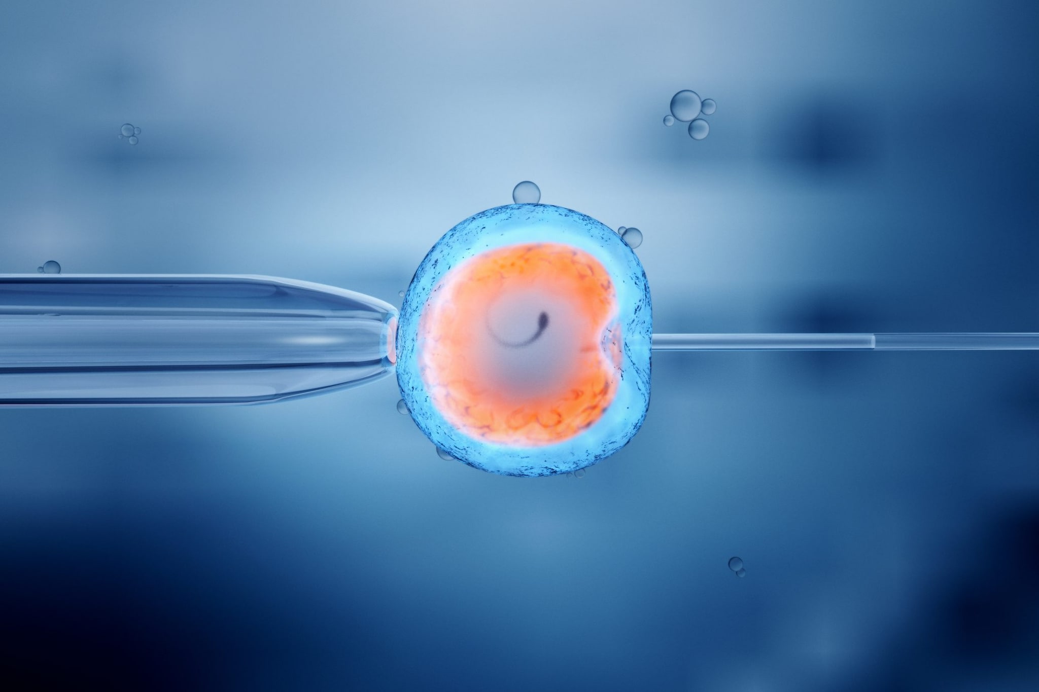 Il donatore di sperma ha una rara mutazione genetica: ora almeno 197 bambini rischiano il cancro