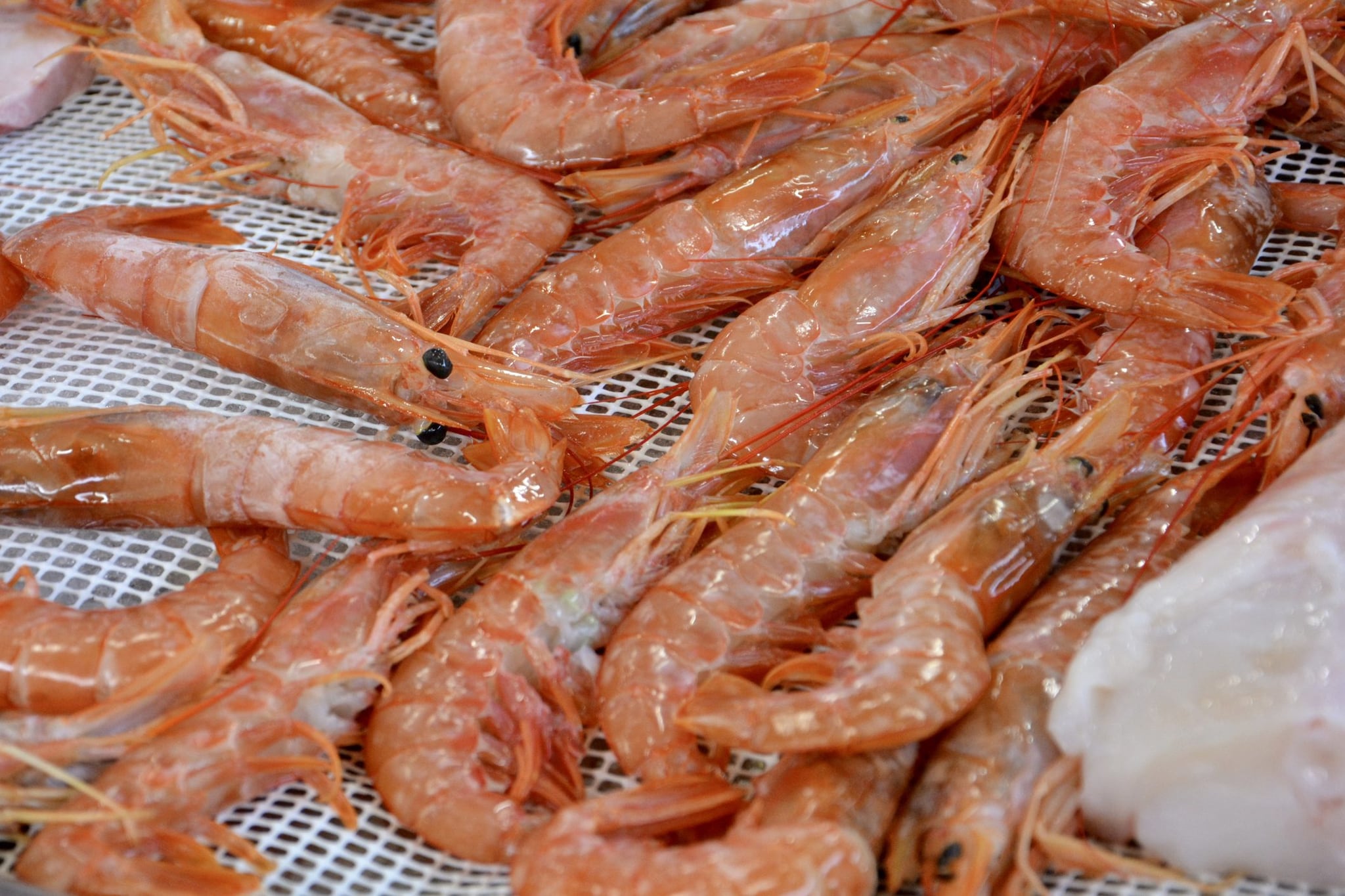 Perché in pescheria trovi gamberi con un occhio solo: il motivo è inquietante