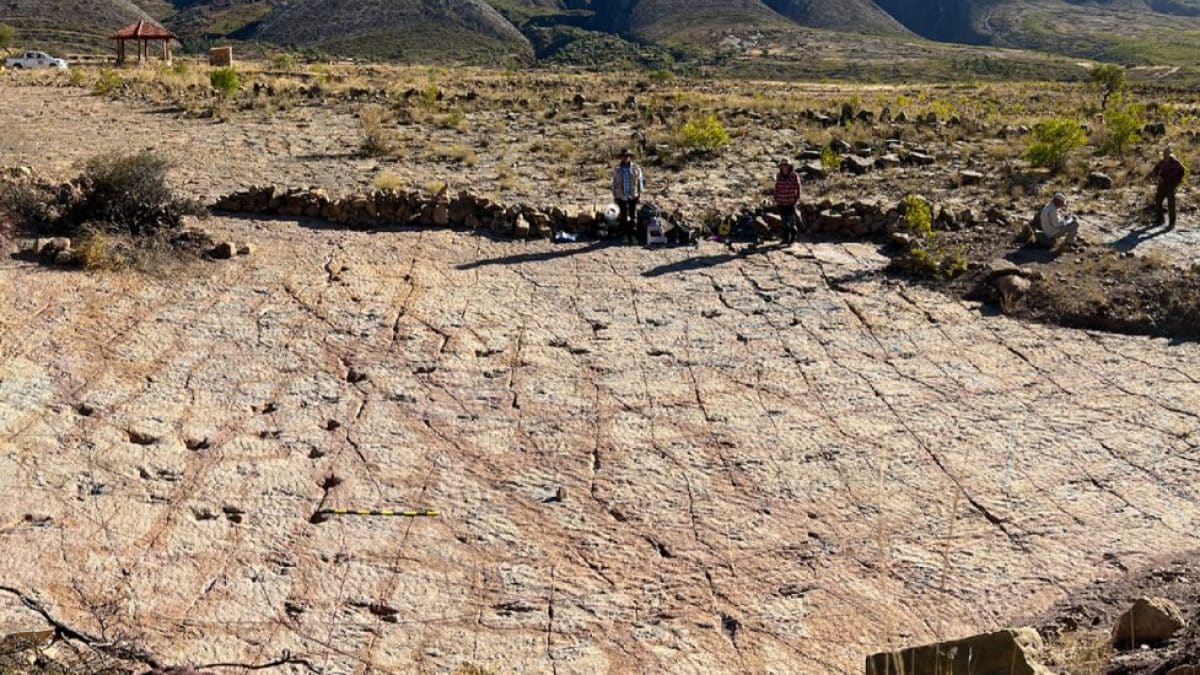 Le impronte di dinosauro in Bolivia. Credit: Esperante et al., 2025, PLOS One