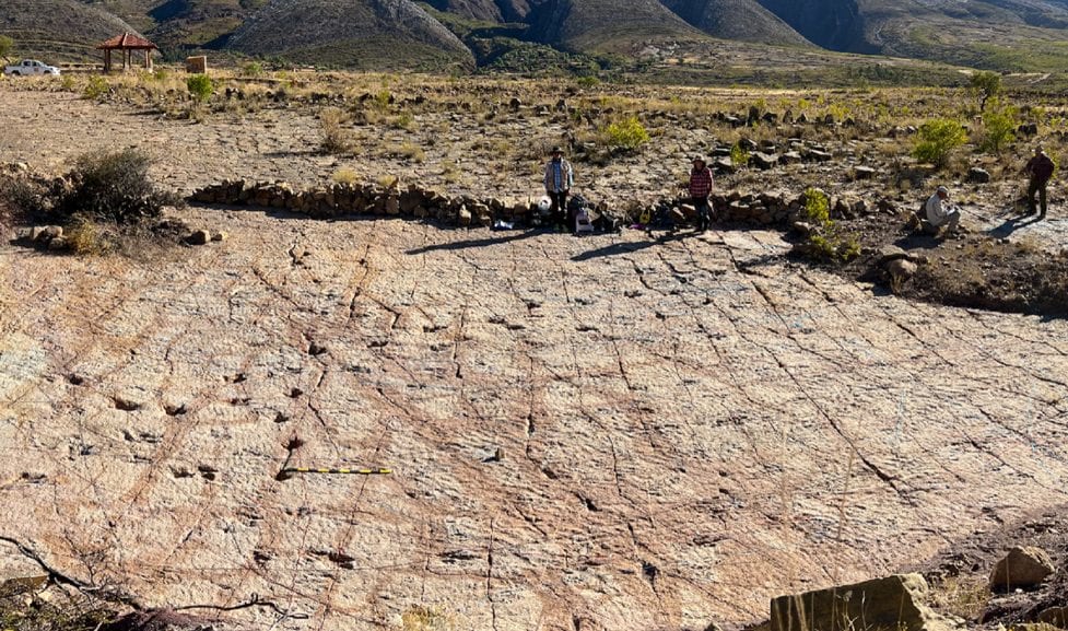 La riviera dei dinosauri con oltre 16.000 impronte scoperta in Bolivia: “È incredibile, sono ovunque”