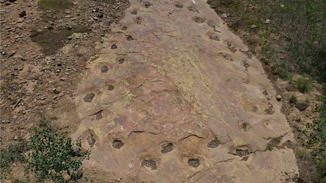 Il mistero del cerchio di impronte lasciato da un dinosauro: la scoperta grazie ai droni