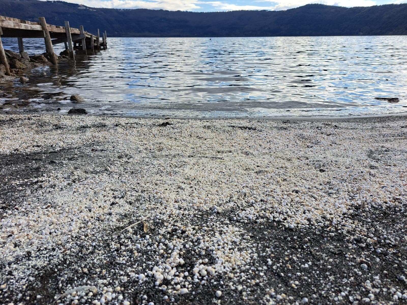 Credit: Andrea Bonifazi