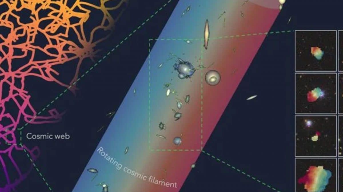 Il filamento cosmico rotante scoperto dall’Università di Oxford: è la struttura rotante più grande mai osservata nell’Universo / Credit: Lyla Jung/Oxford University