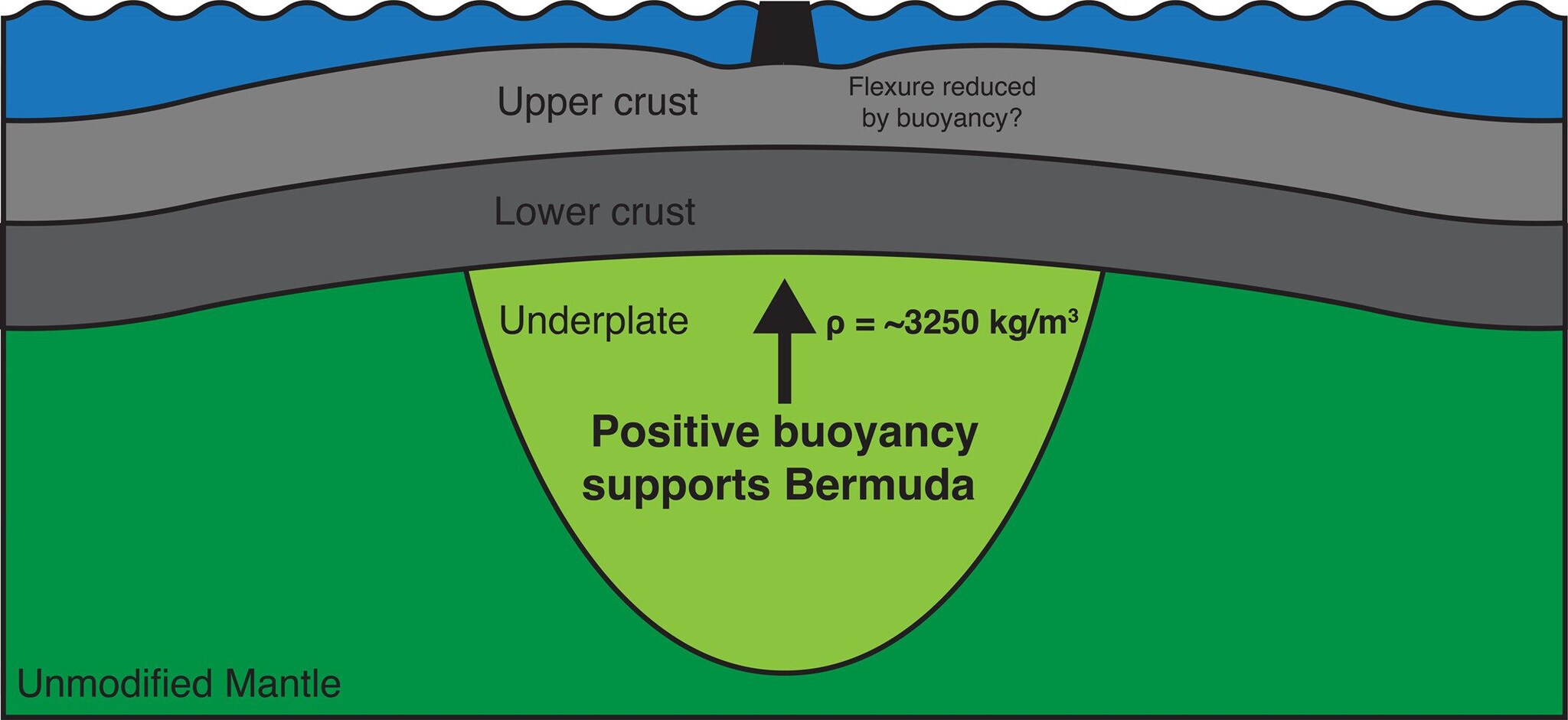 Illustrazione della struttura rocciosa che sostiene le Bermuda e spiega perché le isole sembrano "galleggiare" rispetto all’oceano circostante / Credit:&nbsp;Geophysical Research Letters 2025