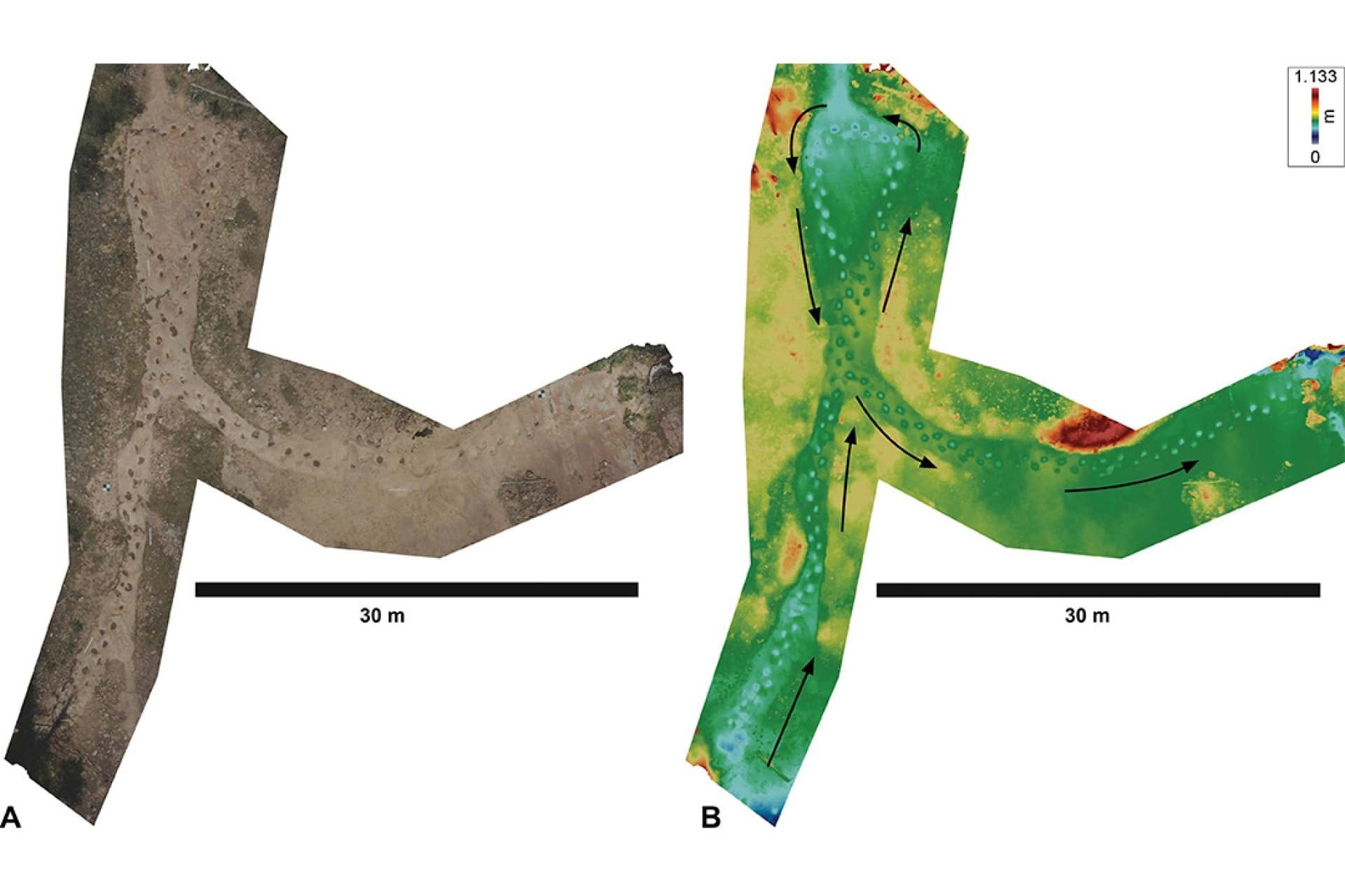 Il percorso completo delle impronte lasciate dal dinosauro. Credit: Dott. Anthony Romilio