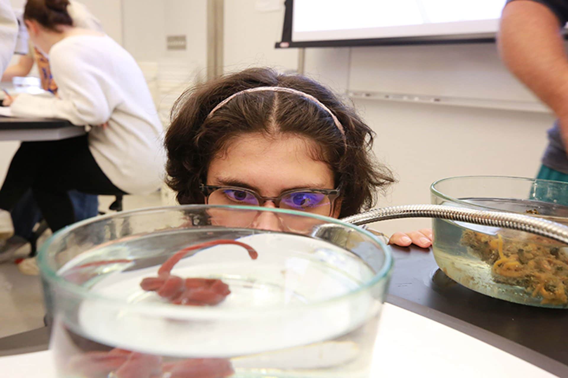 Una studente del William & Mary College osserva da vicino Baseodiscus the Eldest durante un laboratorio di biologia / Foto: Stephen Salpukas