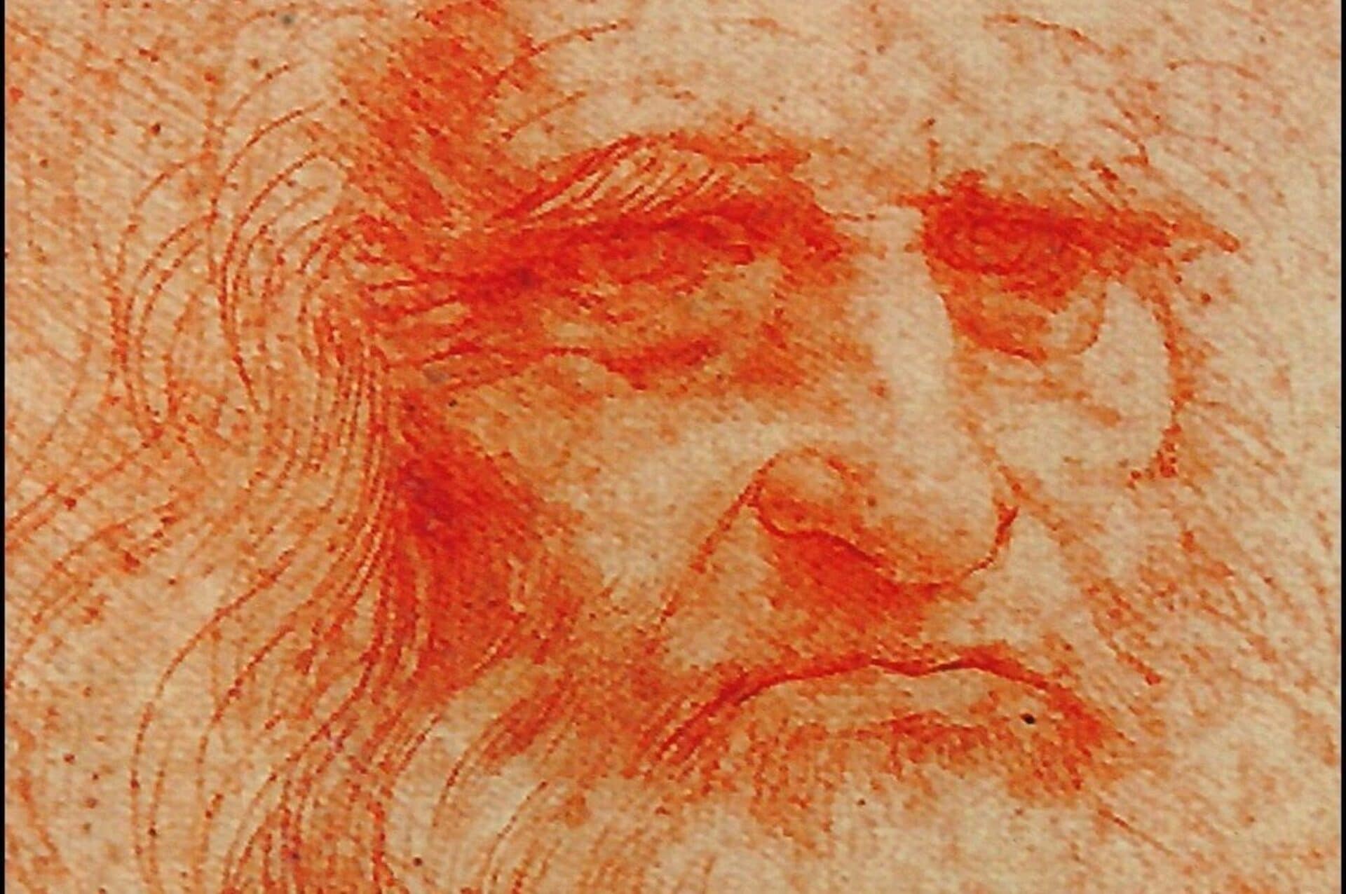 Il DNA di Leonardo da Vinci è su un disegno? Uno studio è a caccia della prova definitiva
