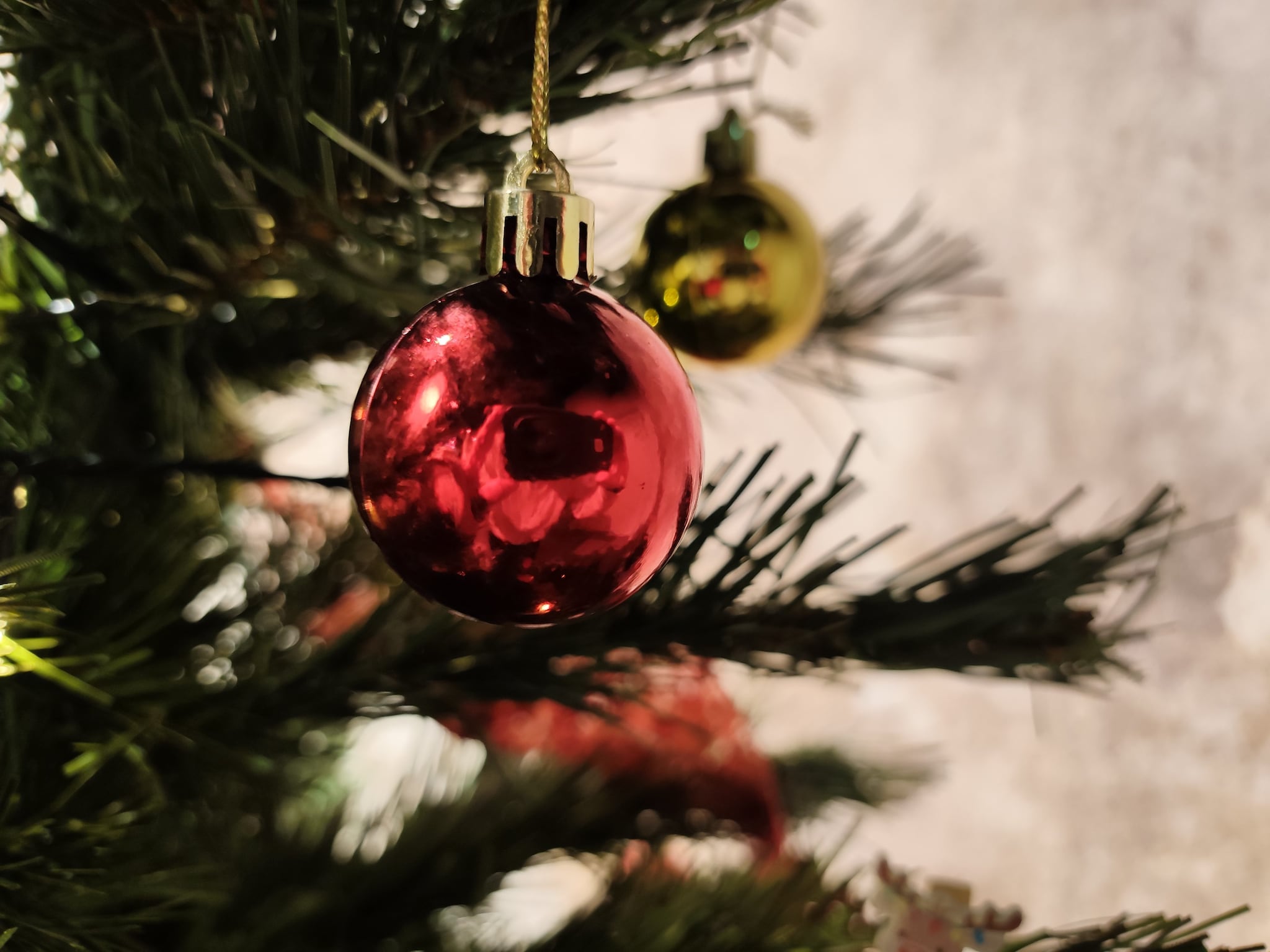 FANPAGE.IT | Un dettaglio ravvicinato