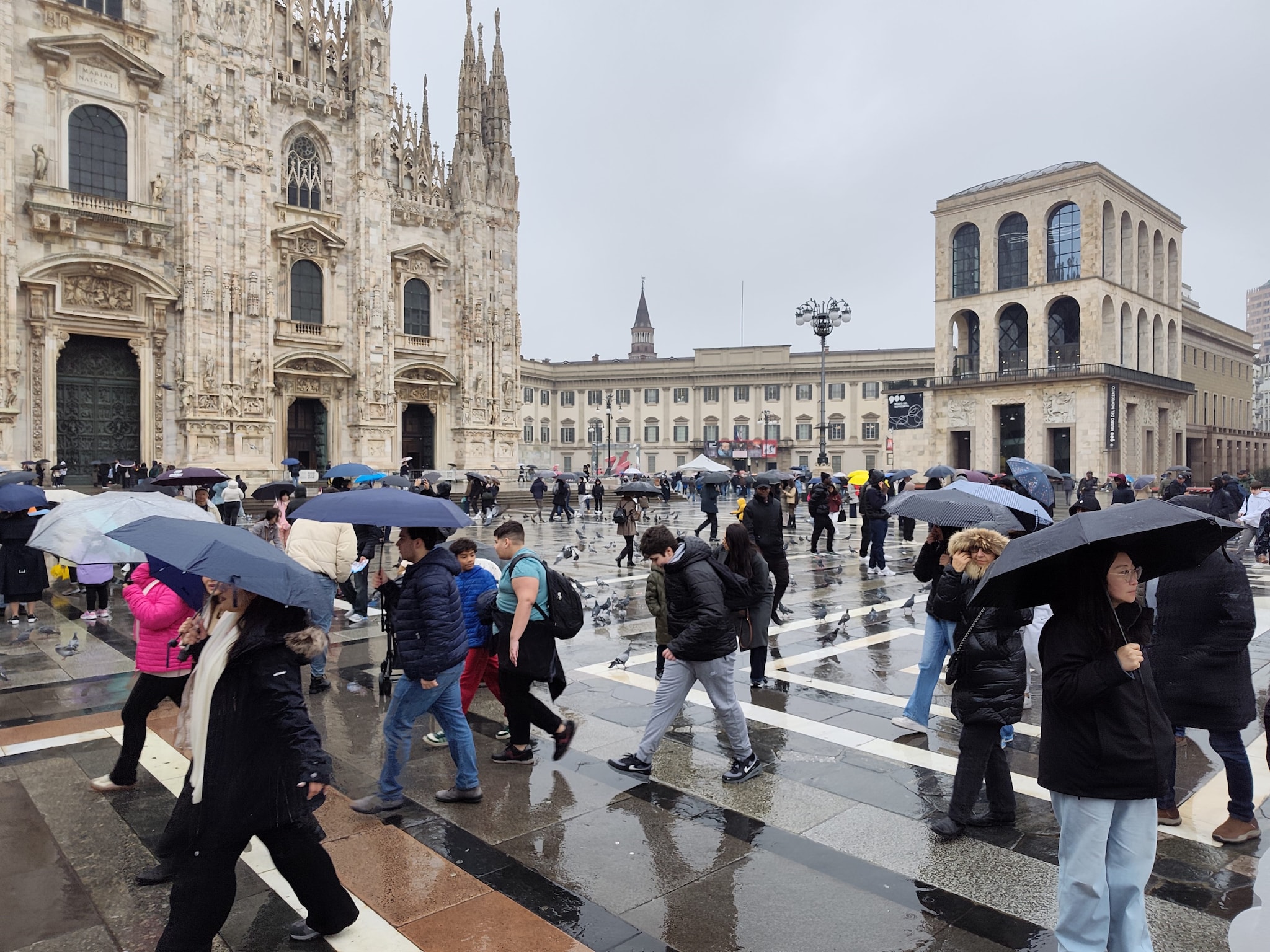 FANPAGE.IT | Fotografia scattata con la camera principale da 200 MP