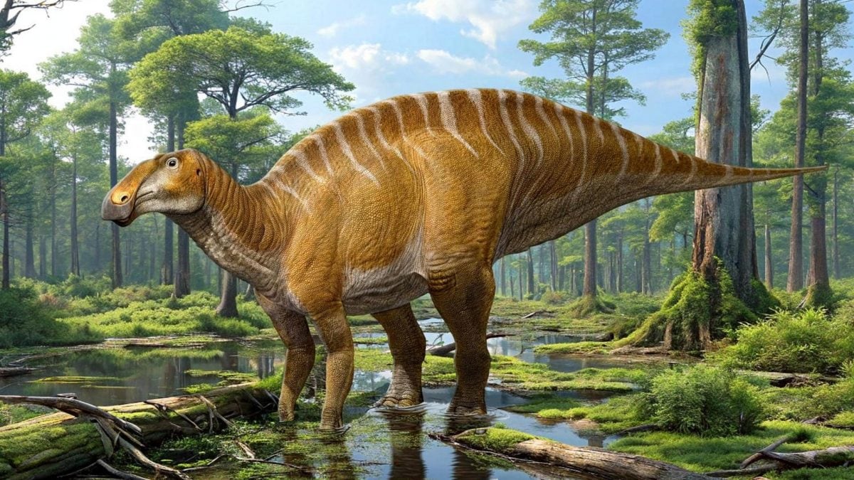 Il dinosauro dal becco d’anatra Ahshislesaurus wimani. Credit: Sergey Krasovskiy/NMMNHS