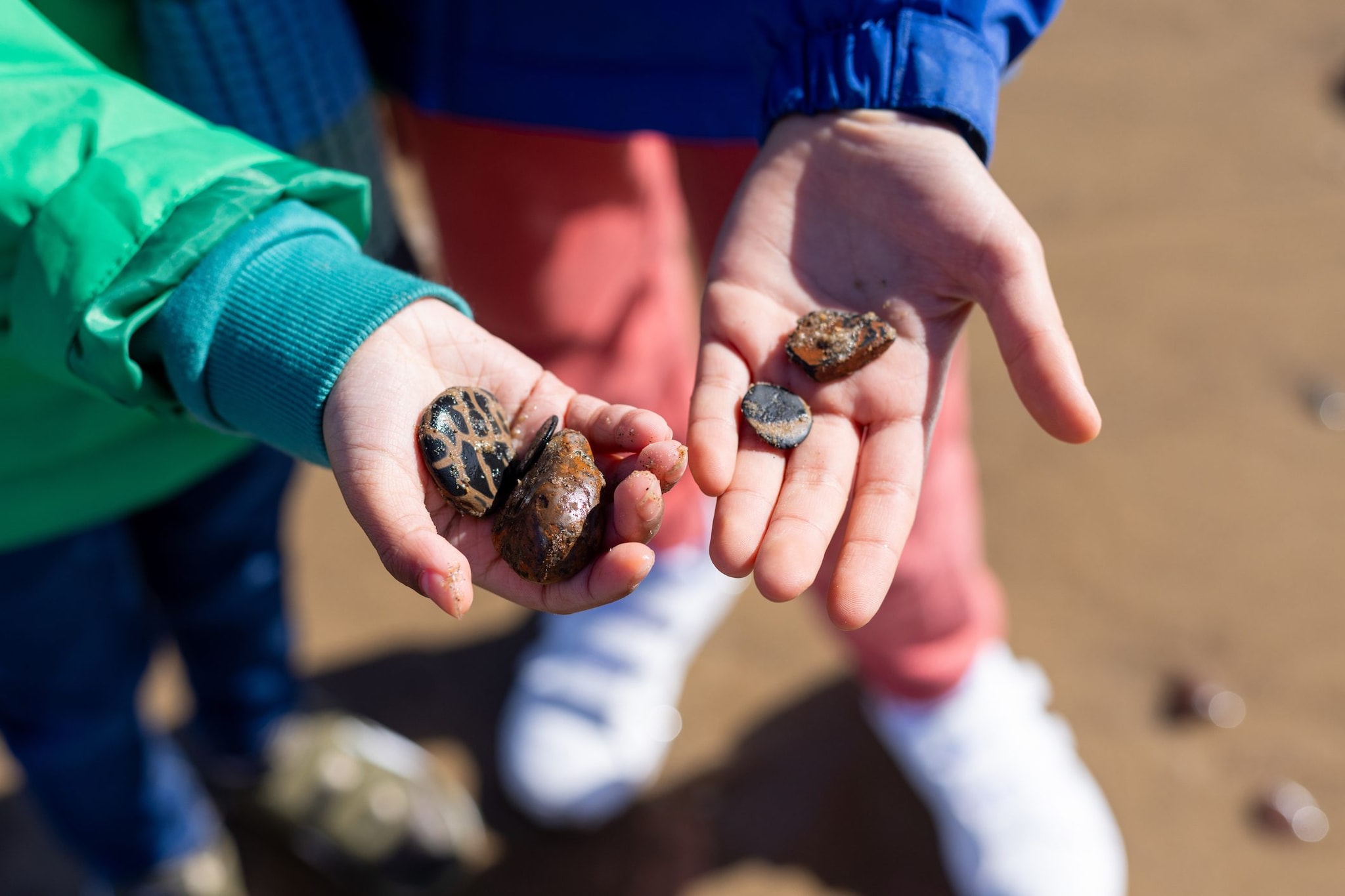 Una bambina fa una scoperta straordinaria dopo aver raccolto un sasso su una spiaggia del Galles