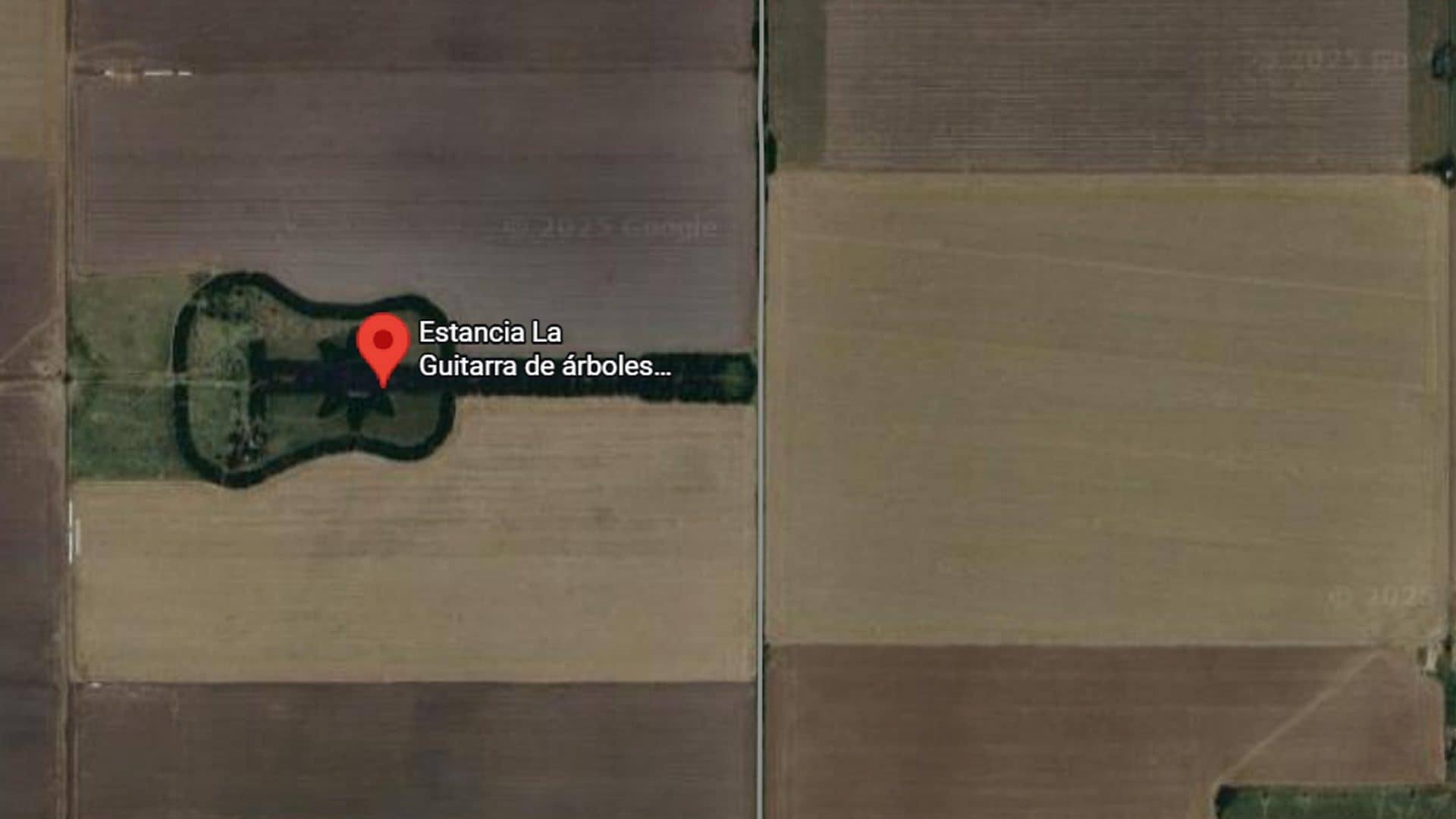 Su Google Maps c'è una chitarra gigante in Argentina: la commovente storia della “Guitarra de arboles”