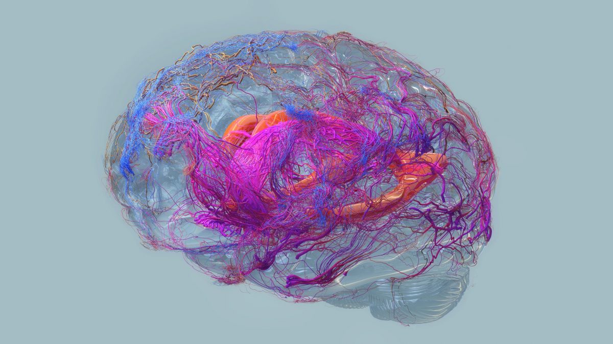 Rappresentazione dell’attività elettrica del cervello rilevata tramite tecniche di neuroimaging, simile a quelle utilizzate nello studio della Brown University per identificare un nuovo segnale che può prevedere la progressione dell’Alzheimer di oltre due anni / Credit: iStock.