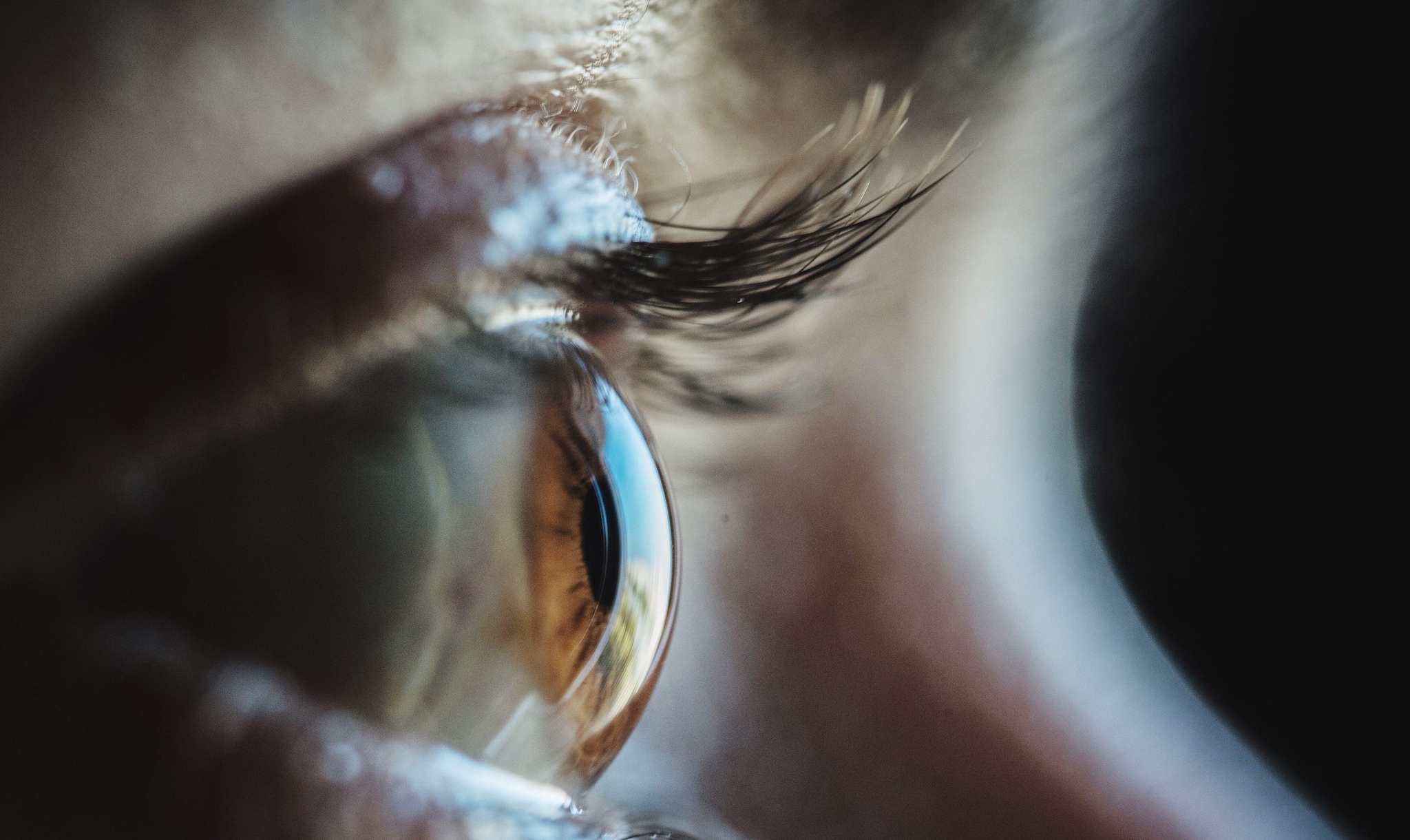 Perché i cinque sensi non bastano a spiegare come percepiamo il mondo: quanti ne abbiamo davvero