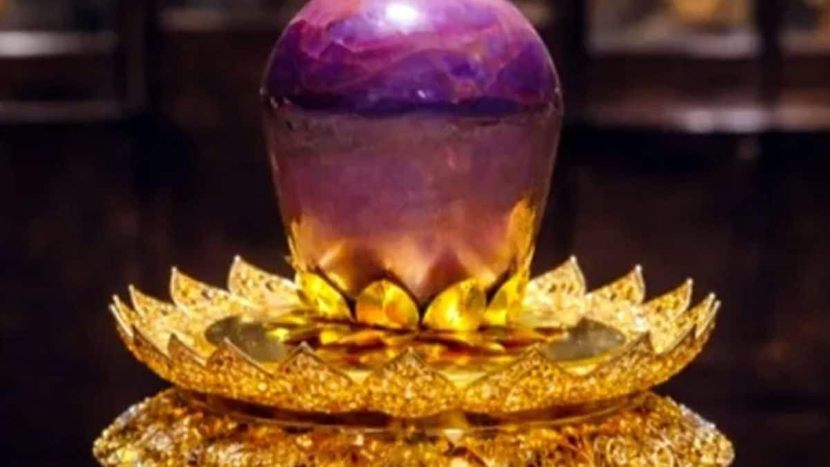 "Star of Pure Land", lo zaffiro stellato viola più grande al mondo presentato a Colombo, Sri Lanka / Photo: iromatv