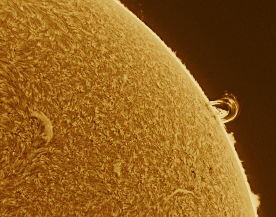 Sole. Credit: Fabio Giordano