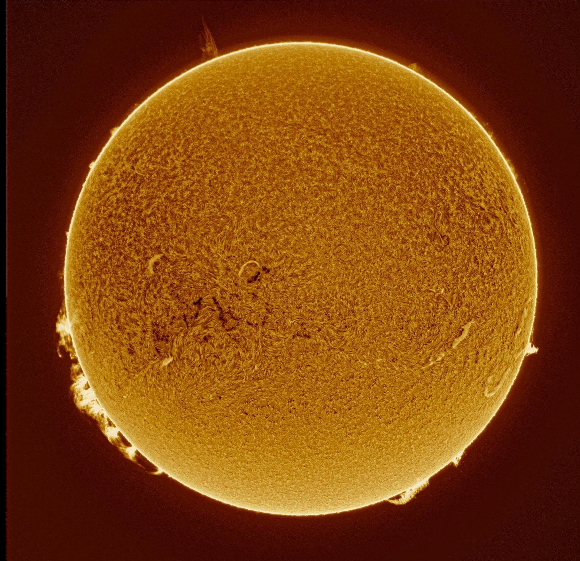 Sole. Credit: Fabio Giordano