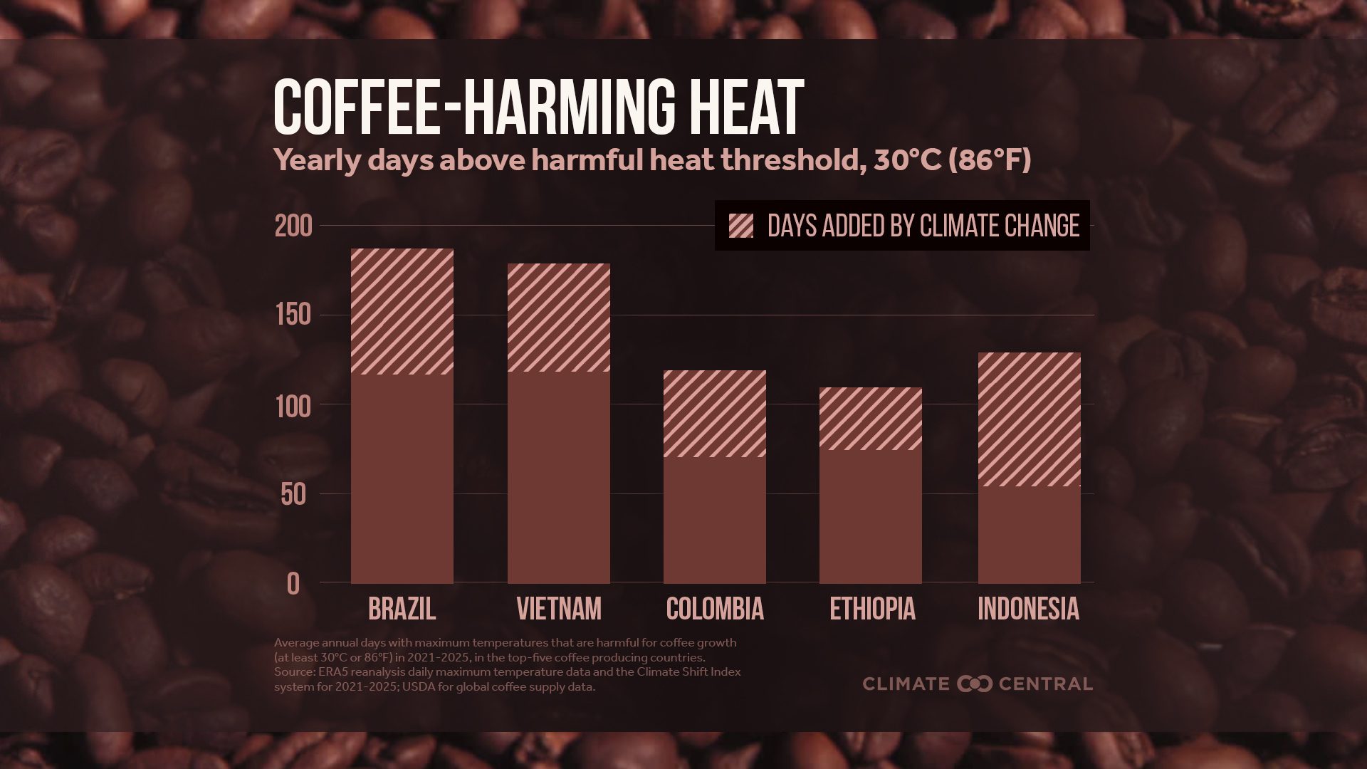 Giorni medi annui con temperature oltre i 30 °C nei principali Paesi produttori di caffè (2021–2025): il caldo dannoso per le coltivazioni è aumentato in modo significativo, con effetti su resa e prezzi. Fonte: Climate Central su dati ERA5 e USDA.