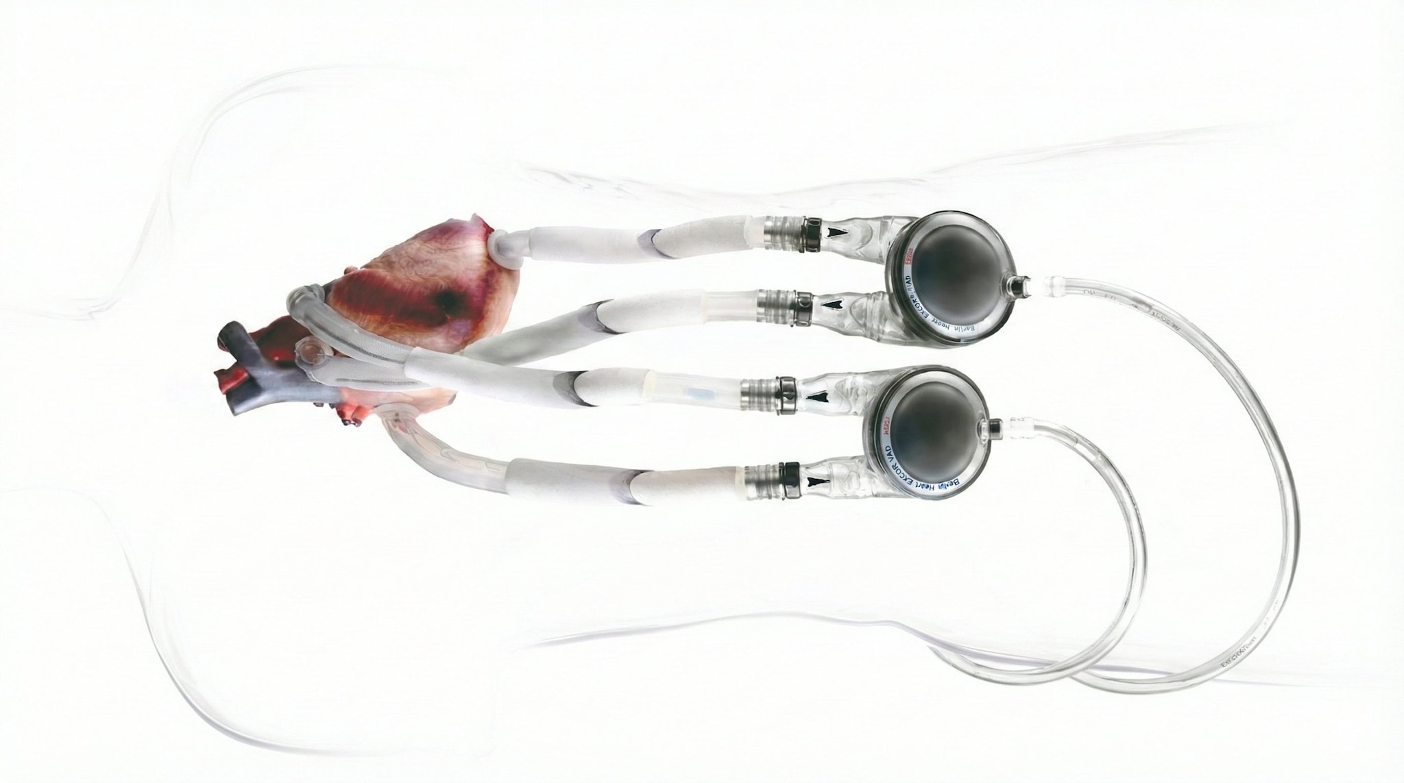 BERLIN HEART | L’illustrazione di un modello di cuore artificiale