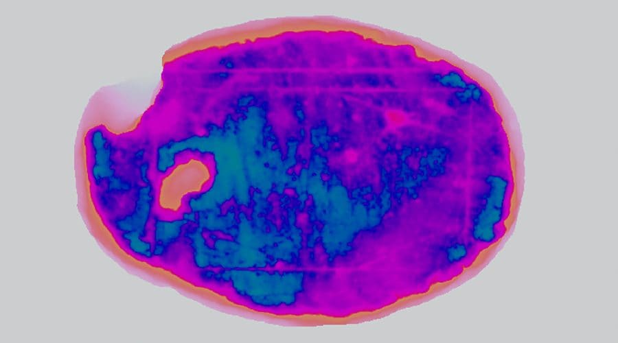 Le abrasioni sulla pietra emerse con tecniche di imaging. Credit: Antiquity