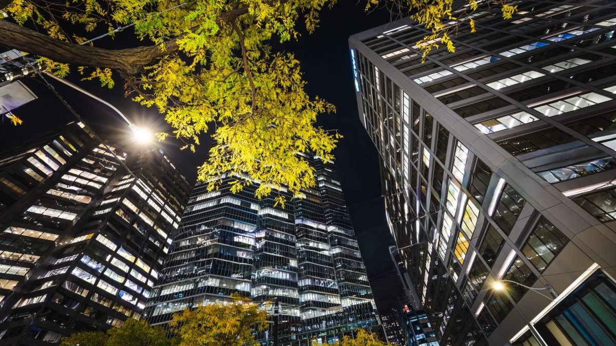 Secondo uno studio pubblicato su PNAS Nexus, l’esposizione alla luce artificiale notturna può anticipare e prolungare la fioritura delle piante, estendendo la stagione dei pollini.