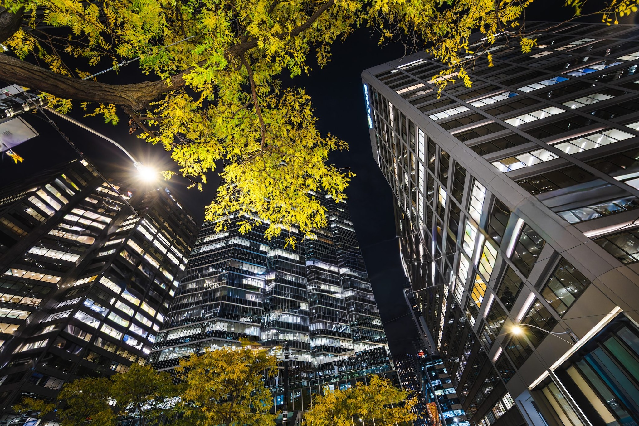 Allergia ai pollini in anticipo: con più luce artificiale può durare fino a 300 giorni