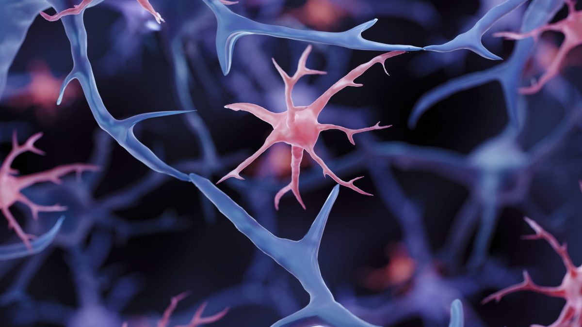 Illustrazione della microglia, le cellule immunitarie del cervello coinvolte nella rimozione delle placche beta–amiloide, elemento centrale nello studio sul ruolo di PTP1B nell’Alzheimer / Photo: iStock