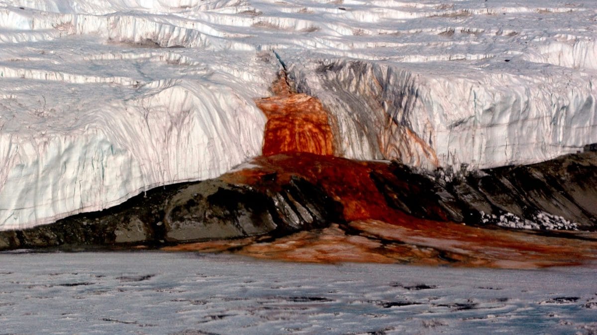 Le Cascate di Sangue (Blood Falls). Credit: National Science Foundation/Peter Rejcek