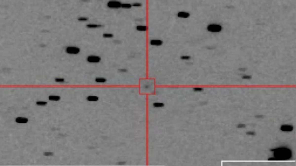La cometa C/2026 A1 (MAPS). Credit: Denis huber