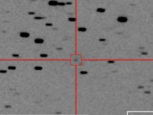 Colossale cometa di 2,4 km può diventare visibile a occhio nudo in pieno giorno: è stata appena scoperta
